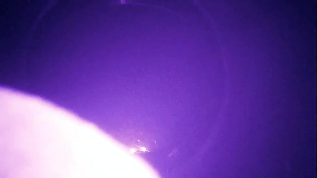 POV: You're a Porta Potty in a Park